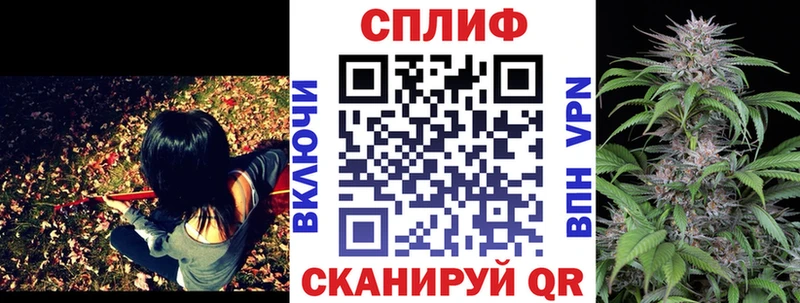 ГАШ Чайковский