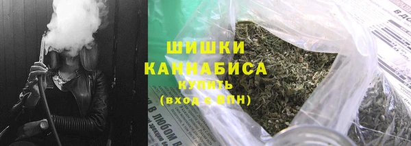 mdpv Инсар