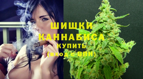mdpv Инсар
