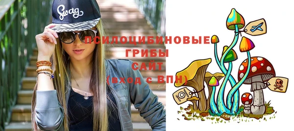 mdpv Инсар