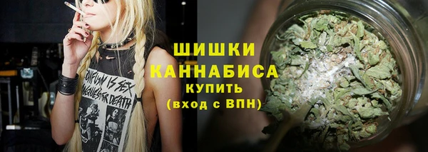 mdpv Инсар