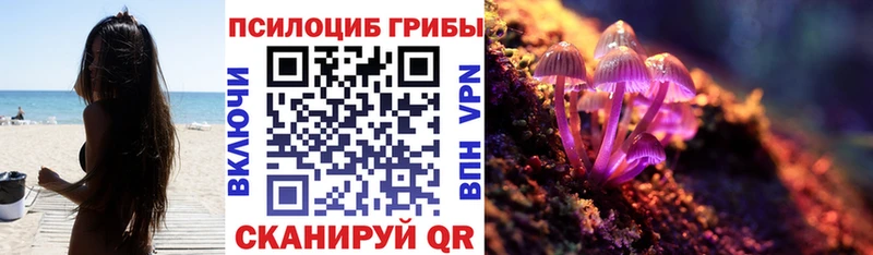 Галлюциногенные грибы Psilocybine cubensis Чайковский
