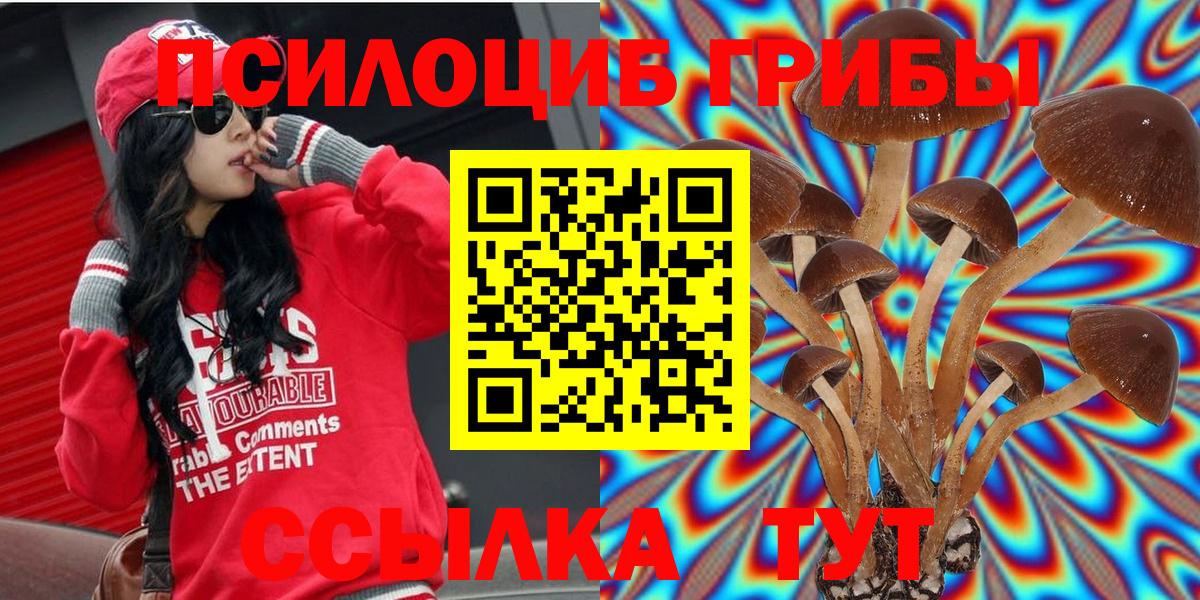 Псилоцибиновые грибы мицелий Чайковский
